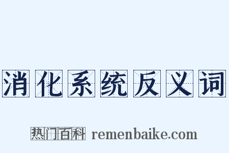 消化系统反义词是什么意思的图片